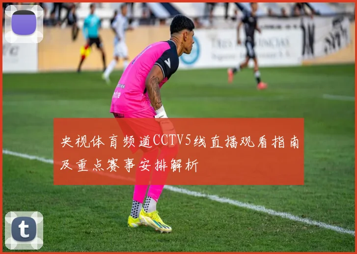 央视体育频道CCTV5线直播观看指南及重点赛事安排解析